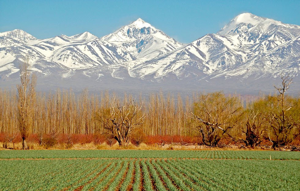 Mendoza , Mendoza Province, Argentina